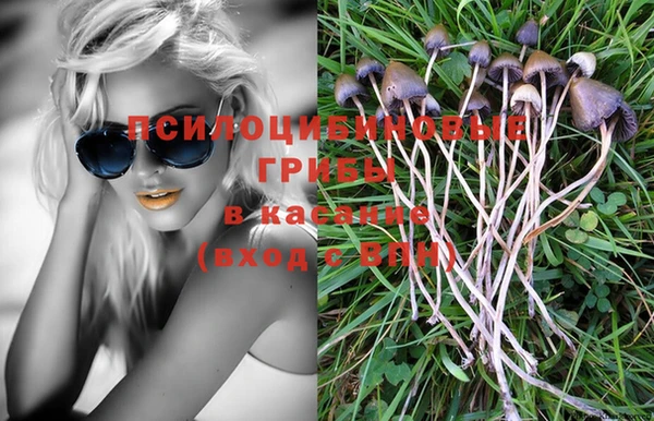 спиды Алексин