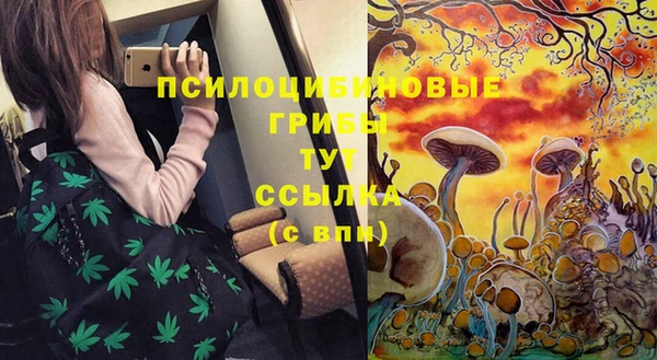 трава Алзамай