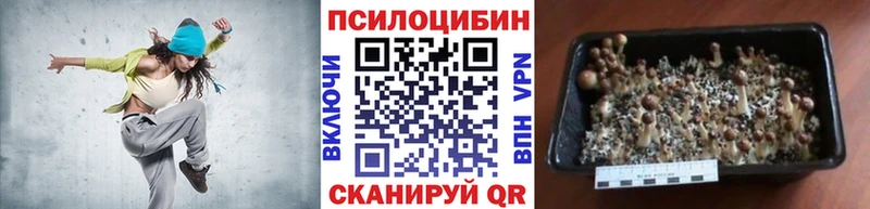 Галлюциногенные грибы Psilocybe  купить наркотики цена  Керчь 