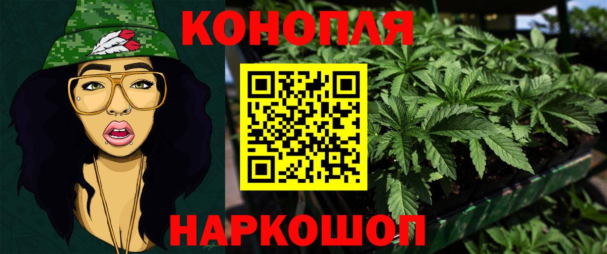 Бошки Шишки ГИДРОПОН Керчь